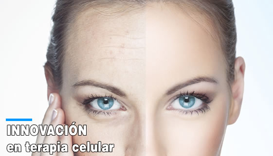 Innovacion en terapia celular